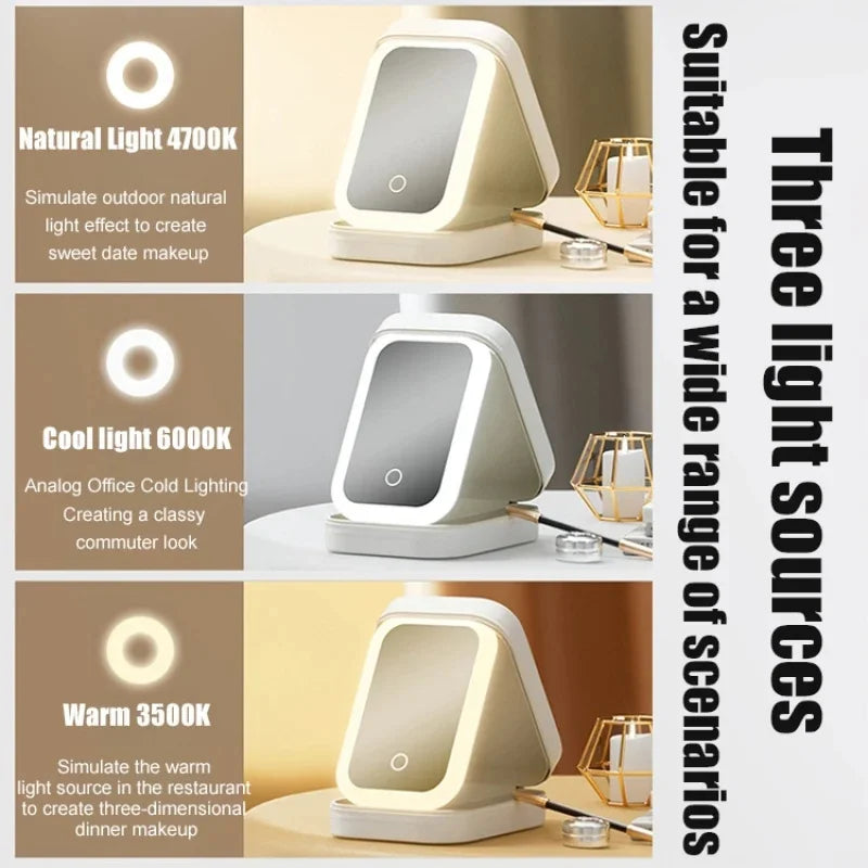 LED Mirror Travel Makeup Case